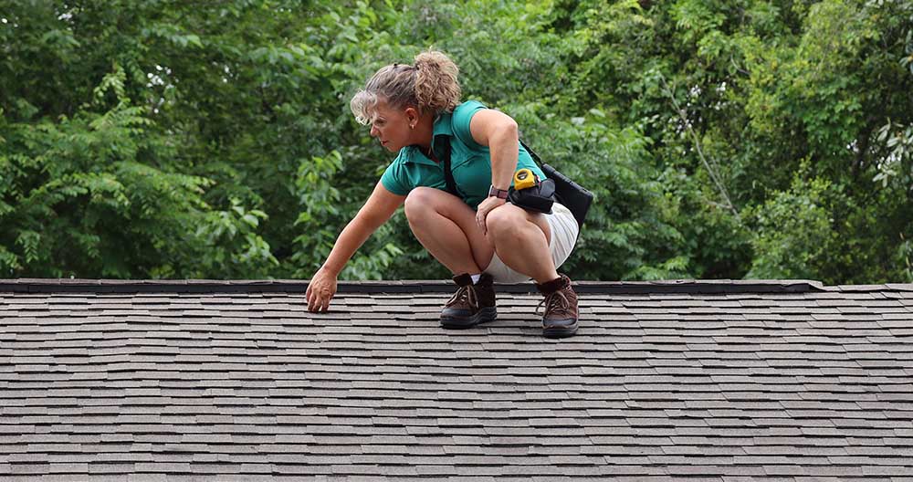 Home Inspection Services With Home Inspector Michelle Door on the roof of a house